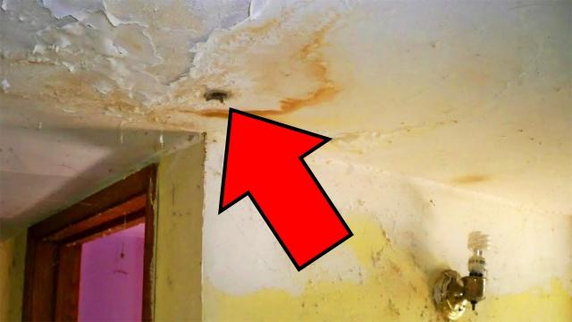 Couple Scraping Away Plaster Accidentally Uncovers A Secret Room In Their House