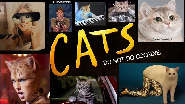 CATS the Musical the Movie is a Don't Do Cocaine PSA.