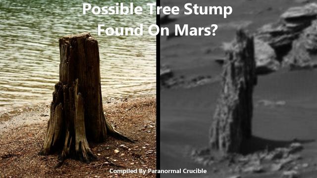Possible Tree Stump Found On Mars?