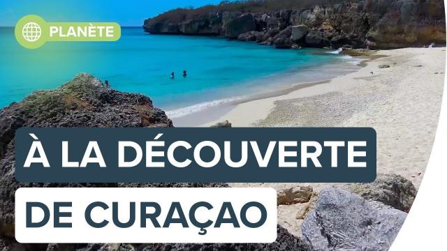 Explorez la magnifique île de Curaçao avec Antoine | Futura