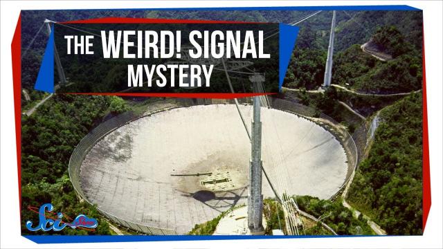 'Weird! Signal' Mystery Solved!