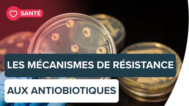 Les 4 principales formes de résistance aux antibiotiques | Futura