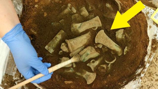 City Workers Uncover An Ancient Treasure In The Last Place They Suspected