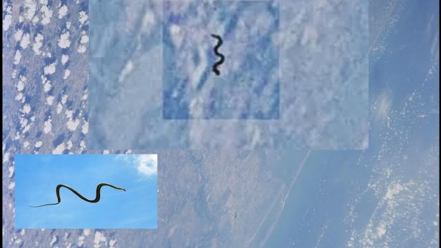 Strange Snake like Creature Above the Earth