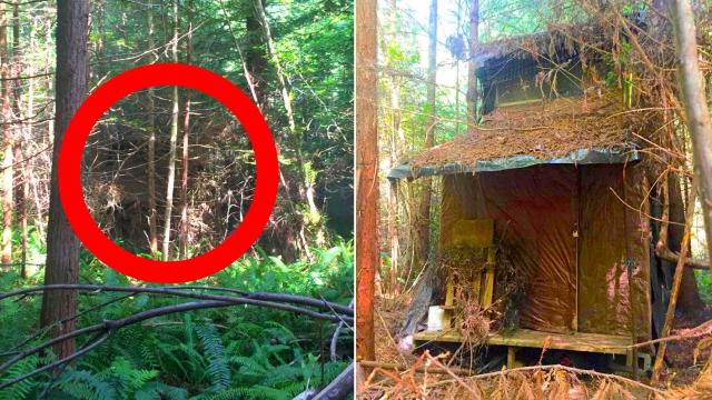 Forest Range Officer Stumbles Across Mysterious Cabin In The Woods Held Seriously Disturbing Secrets