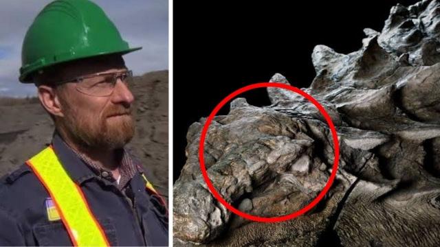 Miners Unearth Valuable 'Artifact' That Solves A 100 Million-Year-Old Mystery