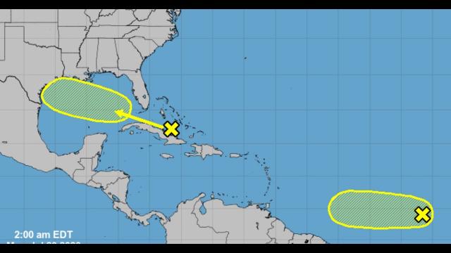Alert! Hurricane Season is heating up! We have TWO elongated Pineapples of possible Development!