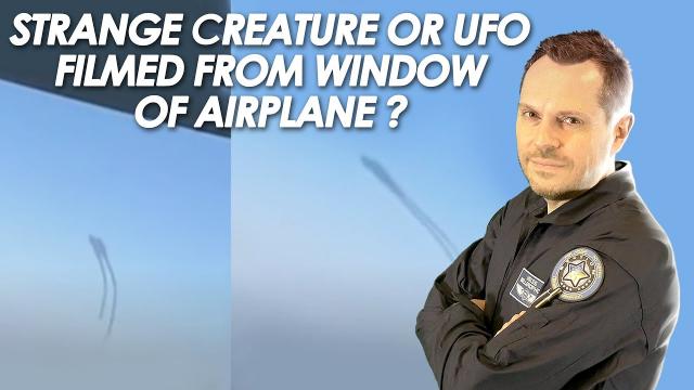 ???? Strange Creature or UFO Filmed From Window of Airplane ?