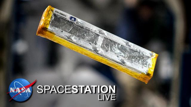 Space Station Live: Synthetic Muscle