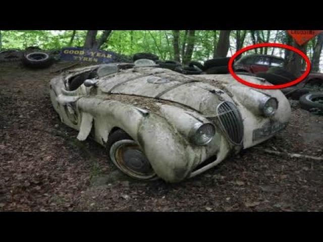 This Photographer Found Classic SuperCars Worth $$ Millions Rotting Away in A Forest