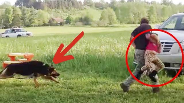 This Man Tries To Kidnap Girl, But Her Dog Leaps Into Action And Stops Him
