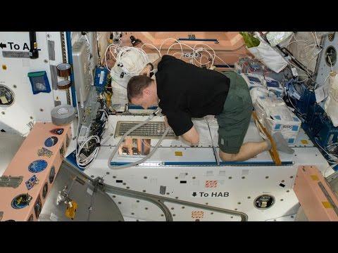 Space Station Live: Millions Of Microbes Under Study