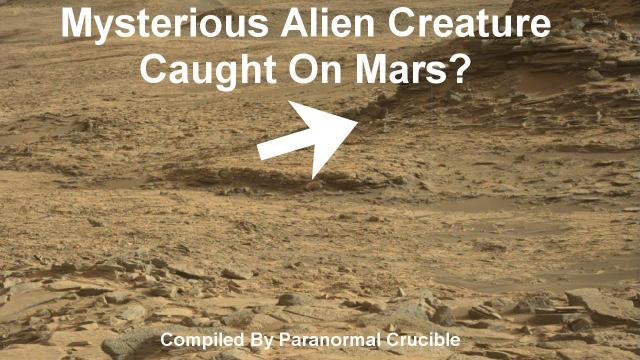 Mysterious Alien Creature Caught On Mars?