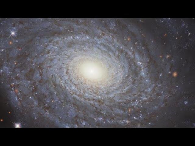 The Eponymous NGC 691