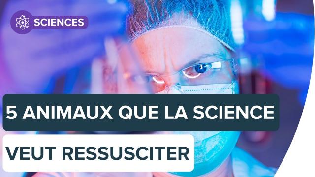 Peut-on ressusciter des animaux disparus ? | Futura