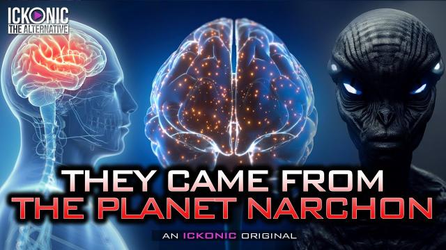 THEY Live Among Us… Exposing 'Humans' with the Reptilian Brain Complex