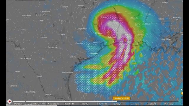 GOM Hurricane* Barry: Euro says Disaster & GFS says Nothing.