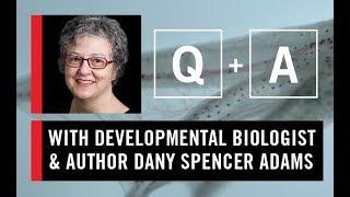 WS CONNECT Q & A with Dany Spencer Adams