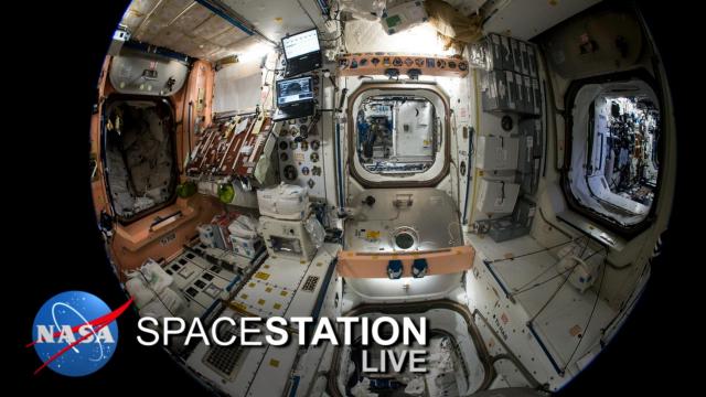 Space Station Live: Gauging the Shaking on Orbit