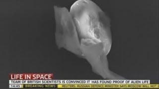 SEPT 20 2013. ALIEN LIFE FOUND IN SPACE, SCIENTISTS DISCOVER EXTRATERRESTRIAL PARTICLES