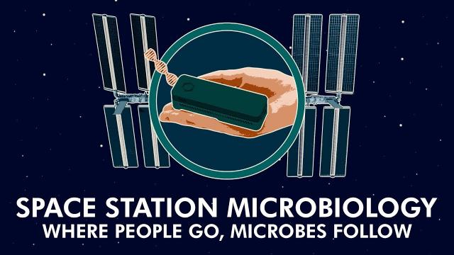 Space Station Microbiology: Where People Go, Microbes Follow