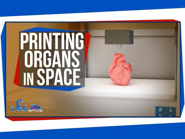 3D Printing Organs in Space