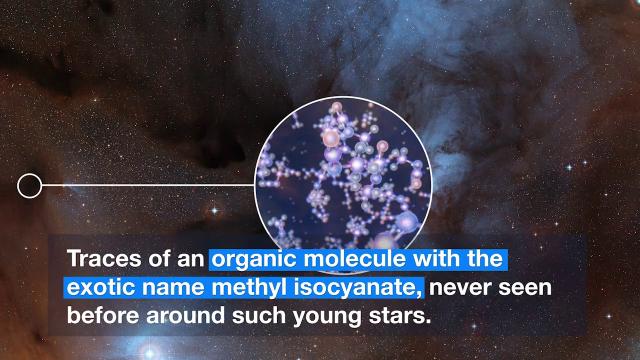 Baby Sun-Like Stars Harbor Ingredient for Life