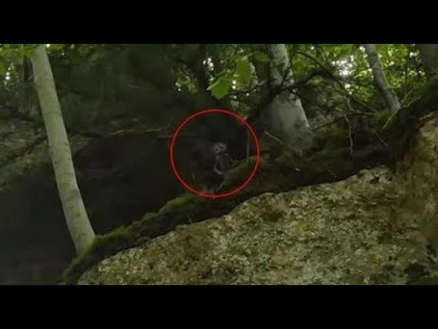 Researcher Erwin Saunders Filmed Tiny Green Men In The Forest
