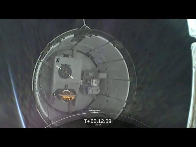 Watch SpaceX Dragon separate from rocket in view from space
