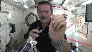 How To Wash Your Hands In Space | Video