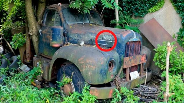 Man Finds Old Hidden Truck In Forest, When He Looks Inside He Turns Pale