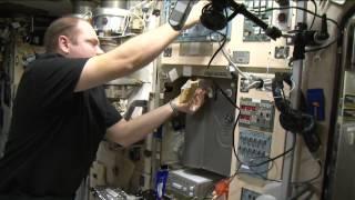Thanksgiving in Space: Astronauts Share Their Cosmic Menu | Video