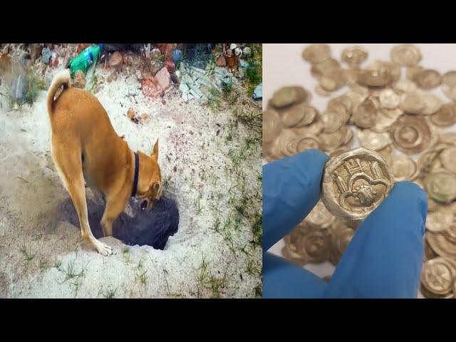Amazing Archaeological Find Dug UP by A Dog In Poland