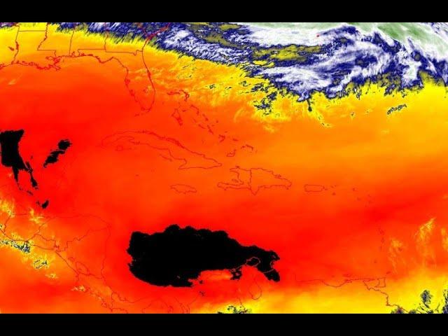 Red Alert: Wild Weather Ahead! the Buffalo of Energy has been spotted in the Gulf of Mexico.