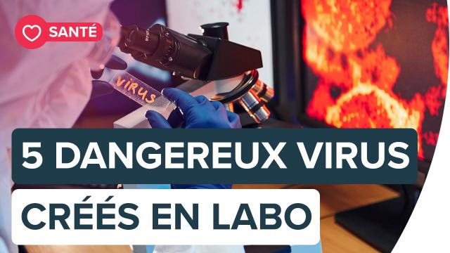 Des virus artificiels créés en laboratoire | Futura