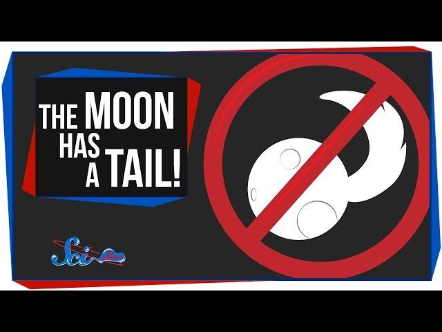 The Moon Has a Tail!