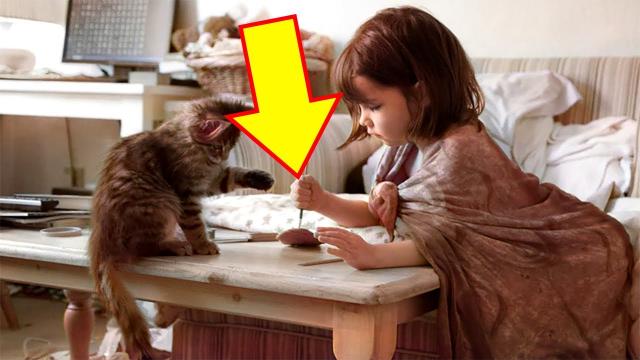 This Little Girl’s Autism Was So Severe She Didn’t Even Speak. Then She Let This Cat Into Her World
