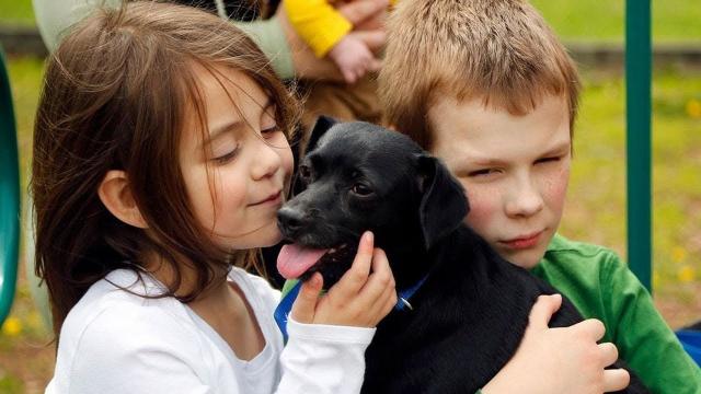 Tiny Dog Saves Sleeping Mother And Nine Children From House Fire.