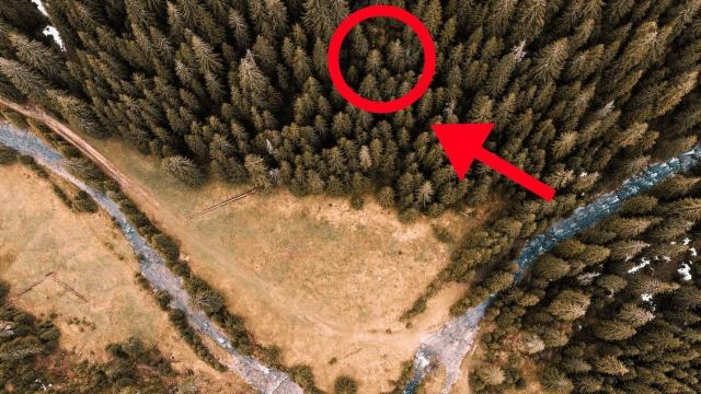 Drone Captures Something Nobody Was Supposed To See
