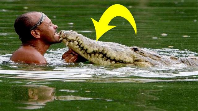 Fisherman Rescues Injured Crocodile: 20 Years Later, This Happened