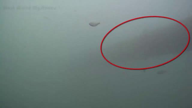 Giant Underwater UFO/USO caught in Cam?  must watch
