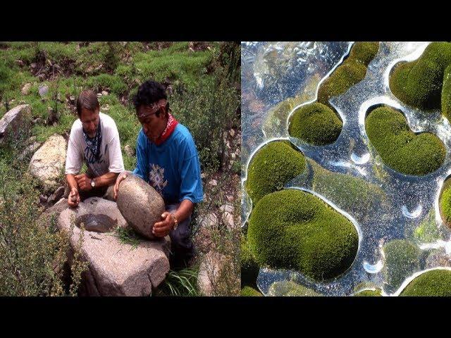 Mysterious Discovery Of The Lost City Of Vilcabamba
