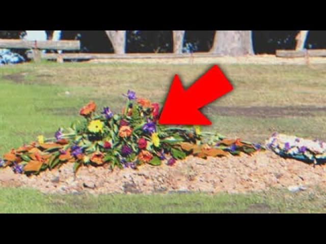 Elderly Mom Asks Son to Visit, He Does 2 Years Later and Finds a Gravesite Instead of Her Home