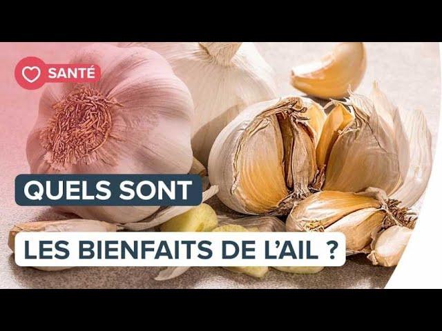 Quels sont les bienfaits de l'ail ? | Futura