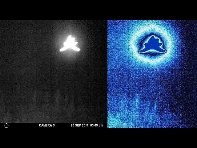 Hunter’s Camera caught Angelic Entity in remote area of northern Canada