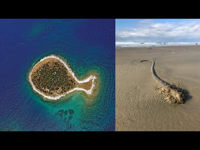 A Woman Noticed A Strange Shape In The Beach