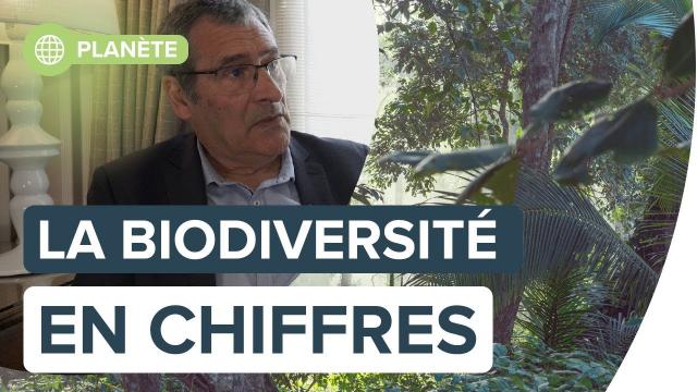 Comment mesurer et comprendre la biodiversité, avec Gilles Boeuf | Futura
