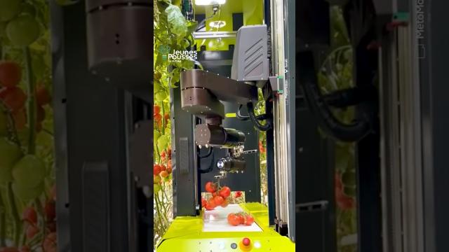 Un robot cueilleur pour améliorer la productivité et baisser les coûts !
