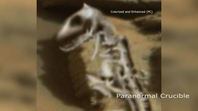 Dragon Fossil Found On Mars?
