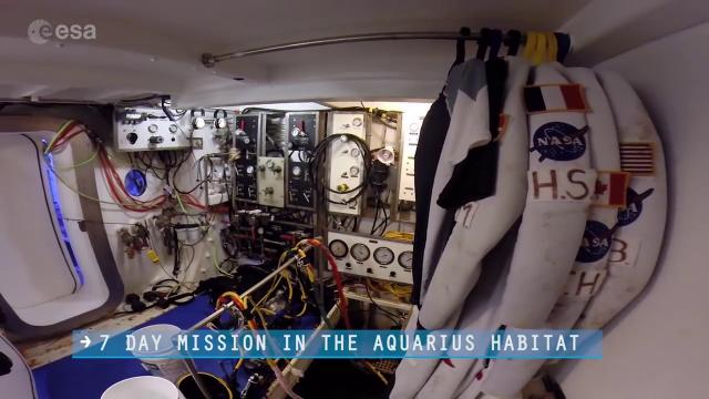Underwater 'Space Base' Used For Mars Mission Simulation | Highlight Video